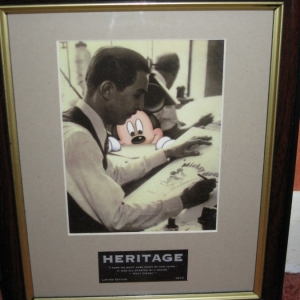 Heritage Laser Cel