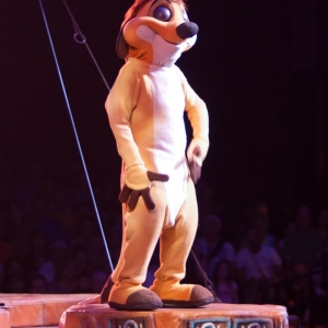 DSC3736