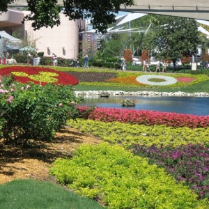 EPCOT Flower & Garden 2011