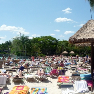 Crowded at Typhoon Lagoon