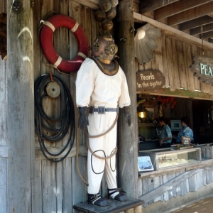 Diving Suit Typhoon Lagoon