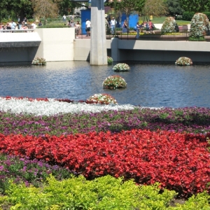 EPCOT Flower and; Garden 2011