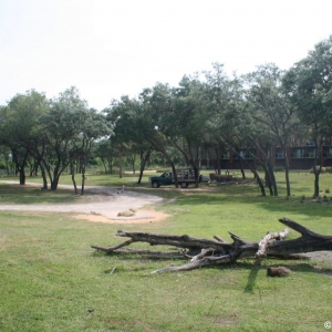 Animal_Kingdom_Lodge_103