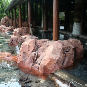 Animal_Kingdom_Lodge_110