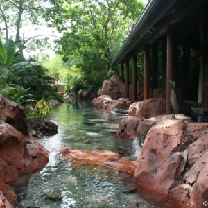 Animal_Kingdom_Lodge_111