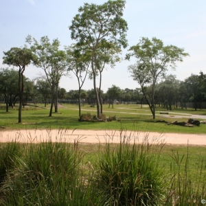 Animal_Kingdom_Lodge_134