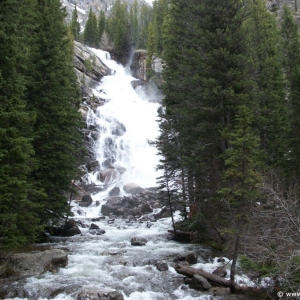 2-Hidden-Falls-028