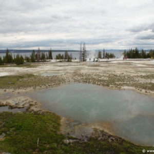 4-West-Thumb-Geyser-Basin-001