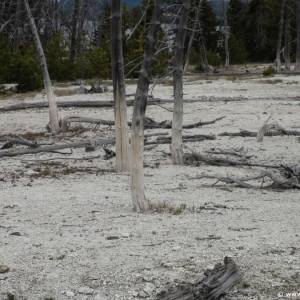 4-West-Thumb-Geyser-Basin-003