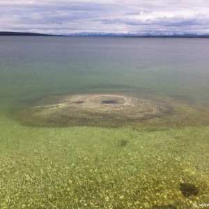 4-West-Thumb-Geyser-Basin-021