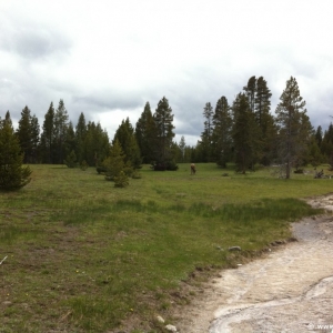 4-West-Thumb-Geyser-Basin-027