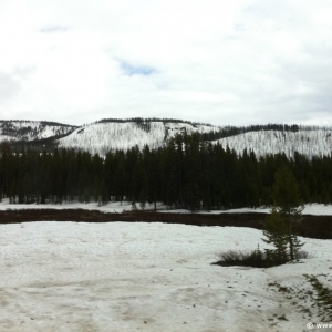 5-Yellowstone-Drive-004