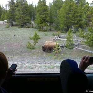 5-Yellowstone-Drive-005