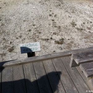 2-Upper-Geyser-Basin-010