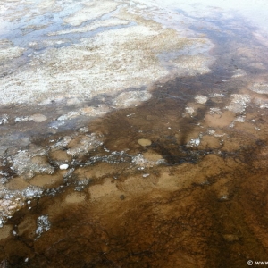 2-Upper-Geyser-Basin-014