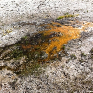 2-Upper-Geyser-Basin-025