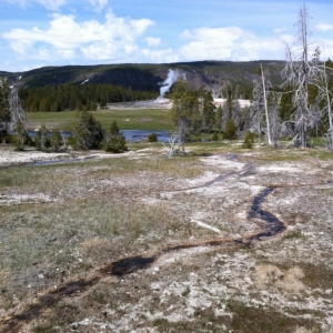 2-Upper-Geyser-Basin-029