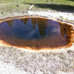 2-Upper-Geyser-Basin-033