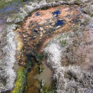 2-Upper-Geyser-Basin-035