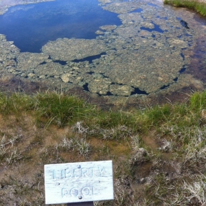 2-Upper-Geyser-Basin-036