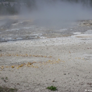 2-Upper-Geyser-Basin-054