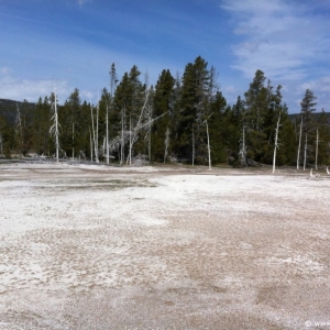 2-Upper-Geyser-Basin-062