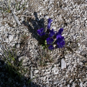 2-Upper-Geyser-Basin-068