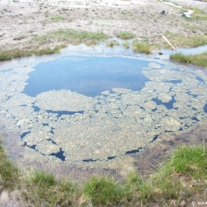 2-Upper-Geyser-Basin-075