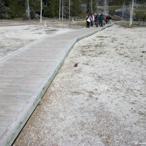 2-Upper-Geyser-Basin-083