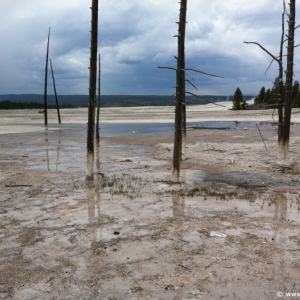 6-Lower-Geyser-Basin-001