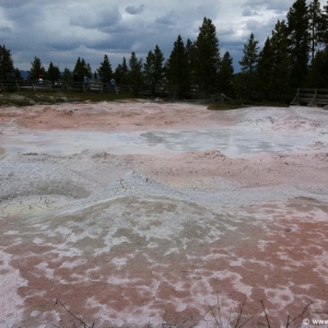 6-Lower-Geyser-Basin-006