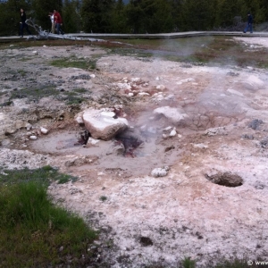 6-Lower-Geyser-Basin-008