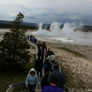 6-Lower-Geyser-Basin-011