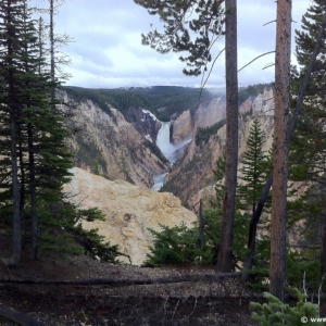 2-Grand-Canyon-Yellowstone-006