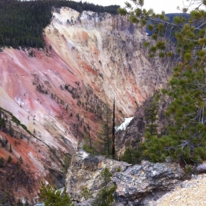 2-Grand-Canyon-Yellowstone-007