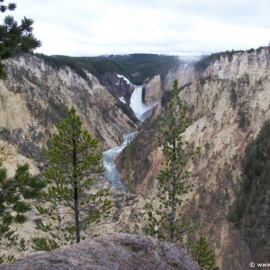 2-Grand-Canyon-Yellowstone-011