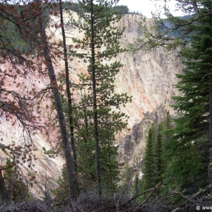 2-Grand-Canyon-Yellowstone-015