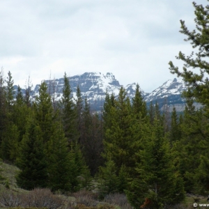 Brooks-Lake-Lodge-015