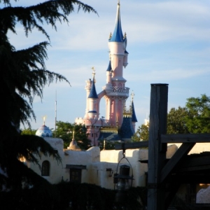 DLP44