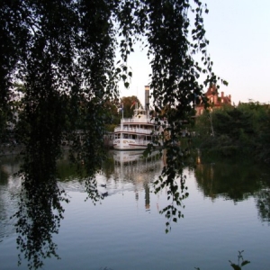 DLP45