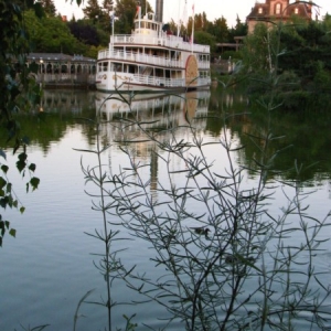 DLP46