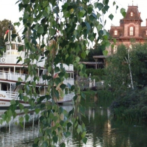 DLP47