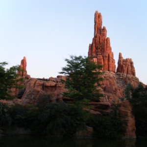 DLP48
