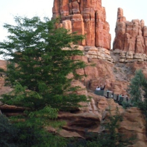 DLP49