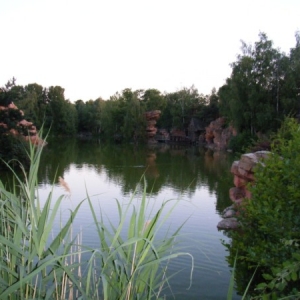 DLP51