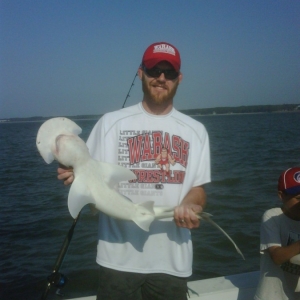 44" Bonnet Head