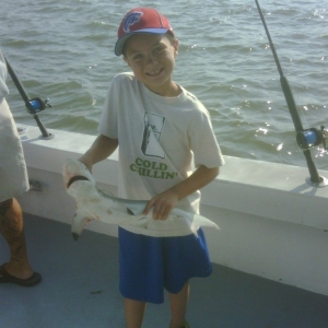 Black Tip