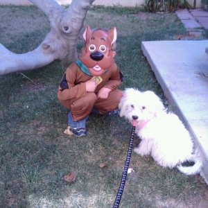Scooby costume