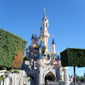 DLP61