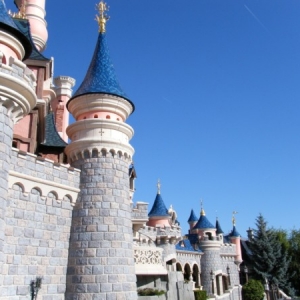DLP63